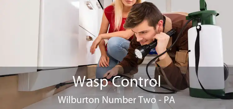  Wasp Control Wilburton Number Two - PA