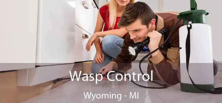  Wasp Control Wyoming - MI