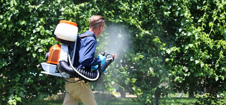 Backyard Mosquito Control Services in Amanda Park